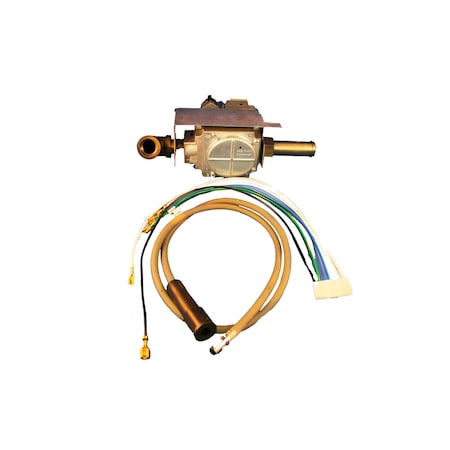 Alliance KIT GAS VALVE NG M4986P3